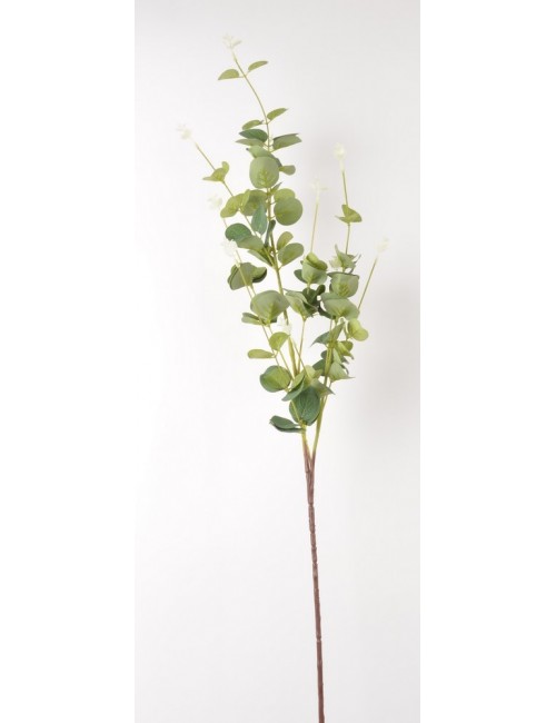 BRANCHE D'EUCALYPTUS GREEN
