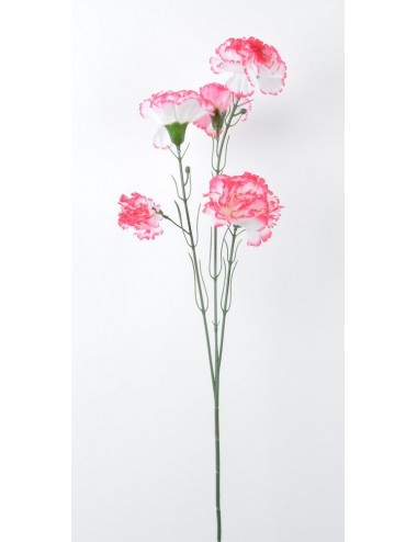 BRANCHE OEILLETS 5 FLEURS ASS