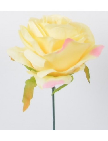 ROSE YELLOW