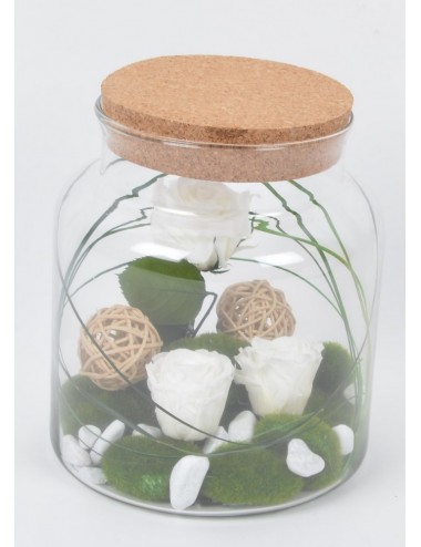 TERRARIUM GM BOUCHON EN LIEGE MOUSSE BOULE CREAM