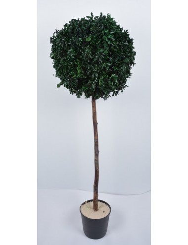 TOPIARY DIAM 45 / 50 CM