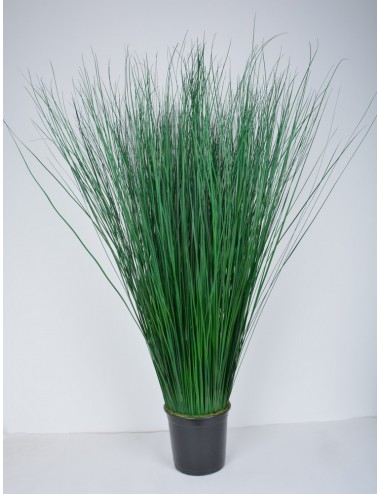 HERBE BUISSON 120 CM