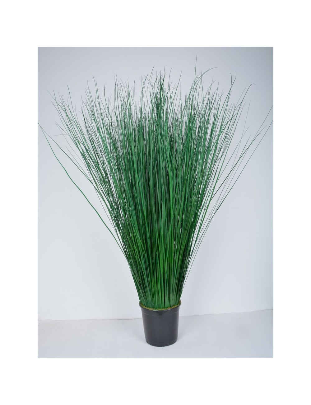 HERBE BUISSON 120 CM