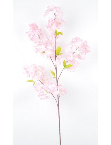 FLEURS DE CERISIER PINK