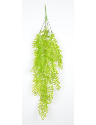 CHUTE DE SPRINGERIS LIGHT GREEN