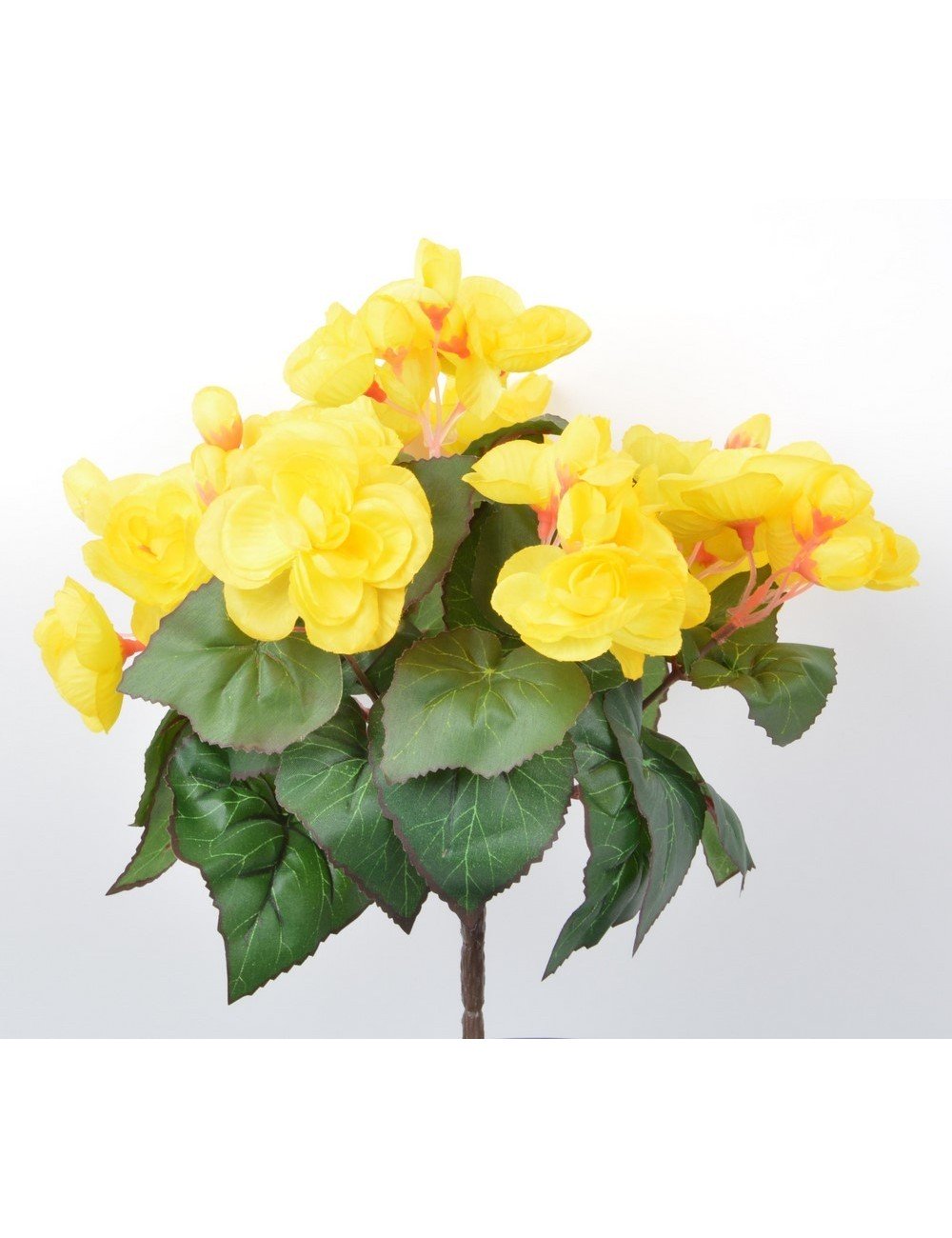 PIQUET DE BEGONIA X7 ORANGE