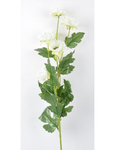 BRANCHE ANEMONE ASSORTIE