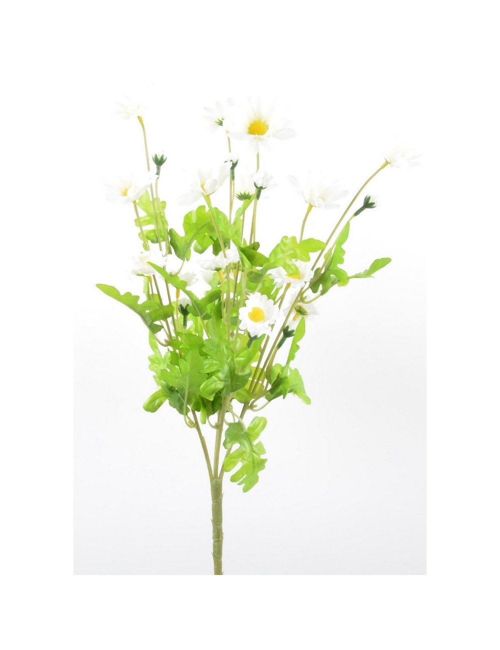 BRANCHE D'ASTER 24 FLEURS WHITE BRANCHE D'ASTER 24 FLEURS WHITE
