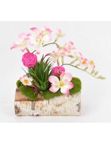 BUCHE BOIS 20 CM FRESIA PLANTE GRASSE BOULE ROTIN PINK