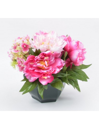 OCEA 15 CM PIVOINE HORTENSIA ASS