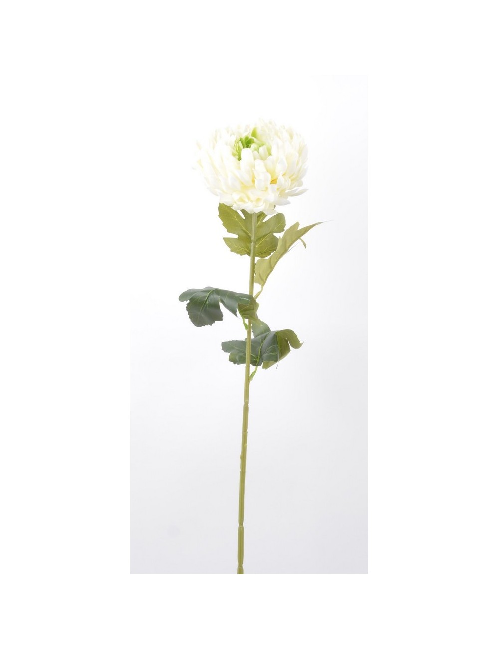 CHRYSANTHEME DECO WHITE