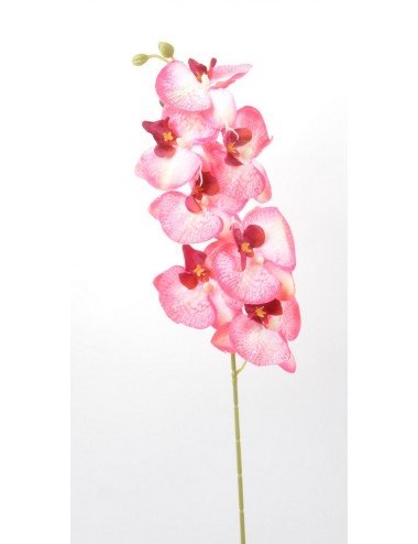 ORCHIDEE 7 FLEURONS PINK