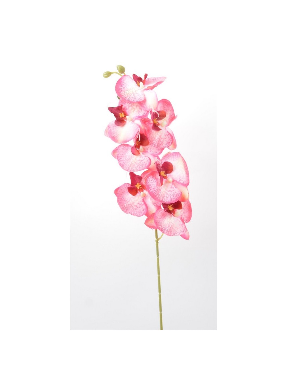 ORCHIDEE 7 FLEURONS PINK