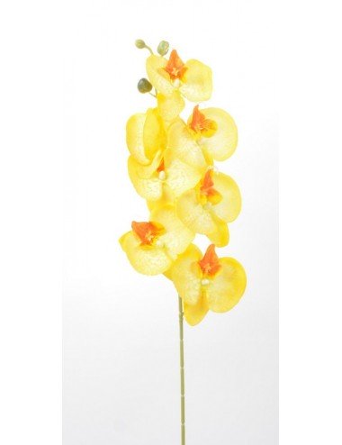 ORCHIDEE 7 FLEURONS YELLOW