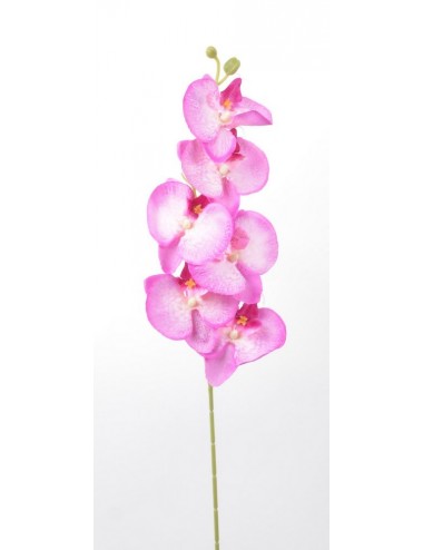 ORCHIDEE 7 FLEURONS LILAC