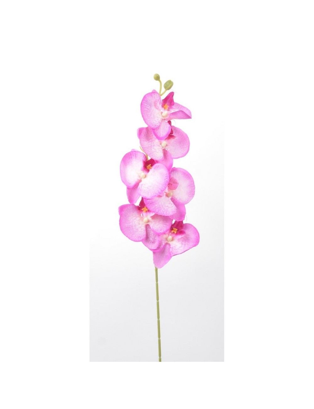 ORCHIDEE 7 FLEURONS PINK