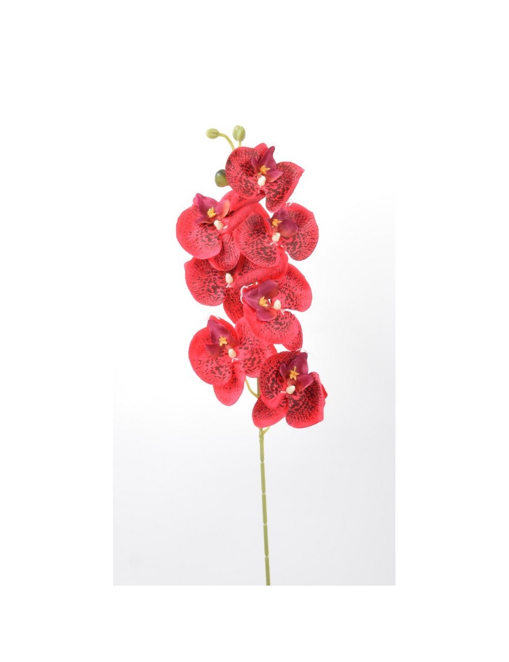 ORCHIDEE 7 FLEURONS PINK ORCHIDEE 7 FLEURONS PINK