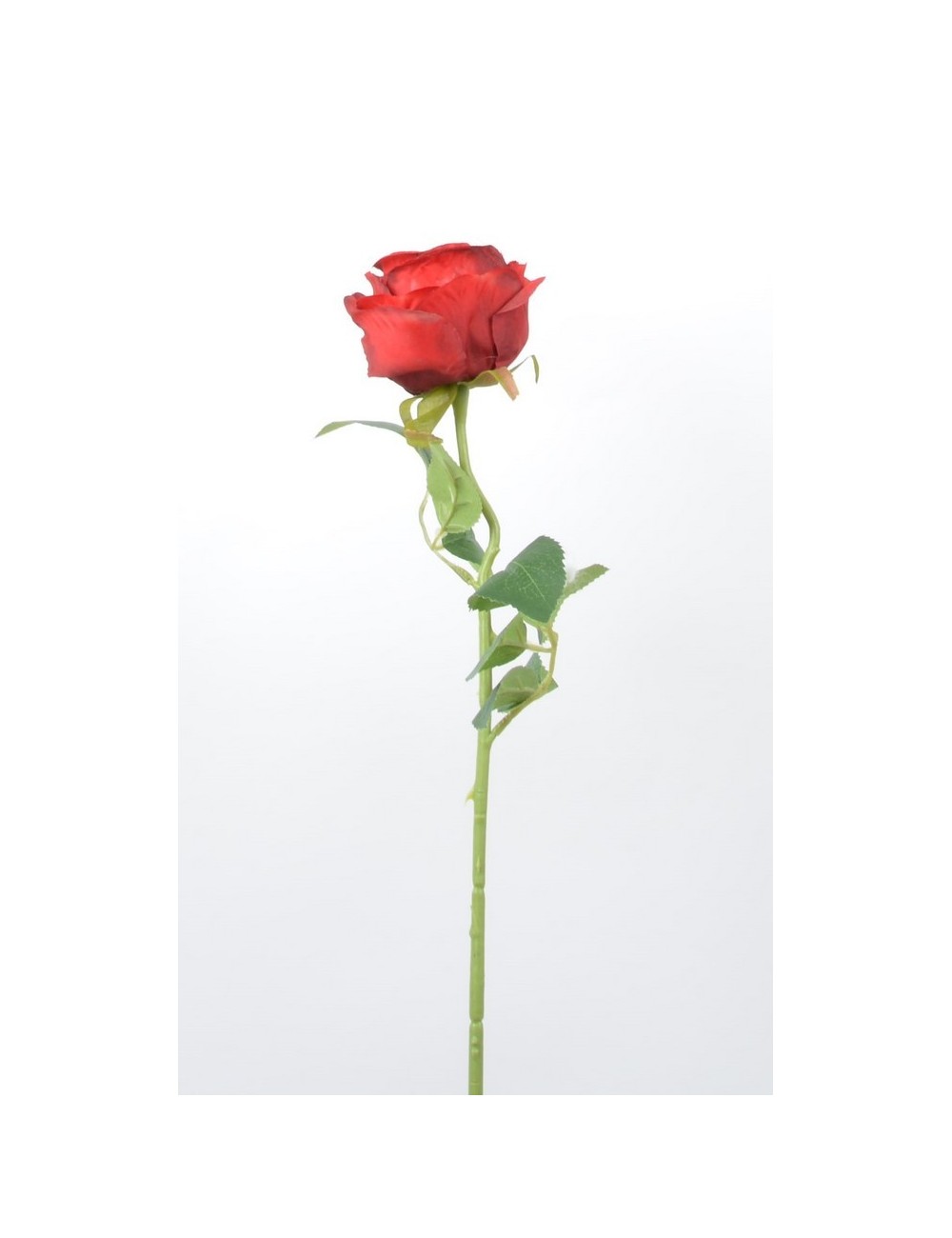 ROSE RED ROSE RED