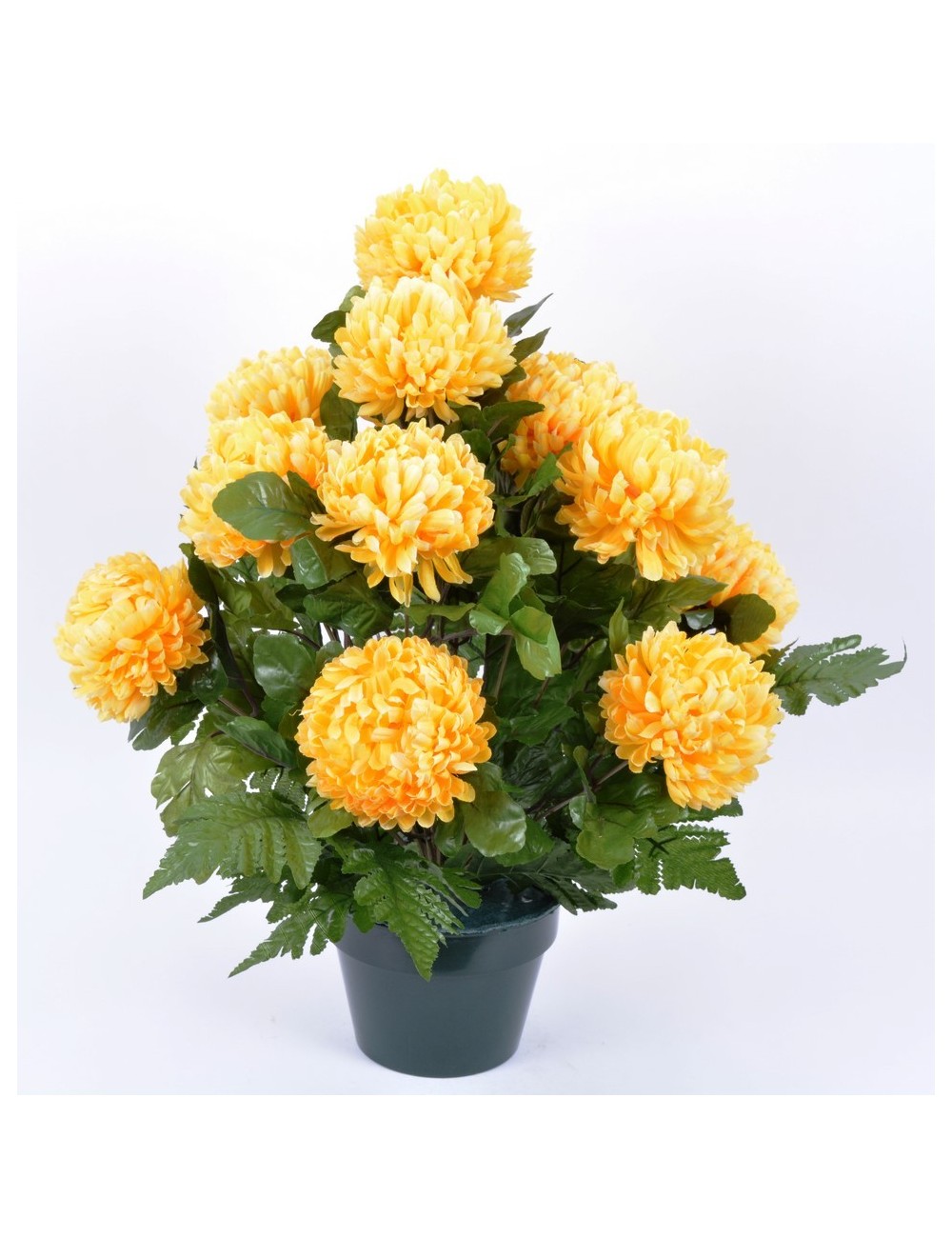 POT D14 CHRYSANTHEME BOULE X14 + FOUGERES ASSORTI