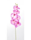 ORCHIDEE 7 FLEURONS PINK