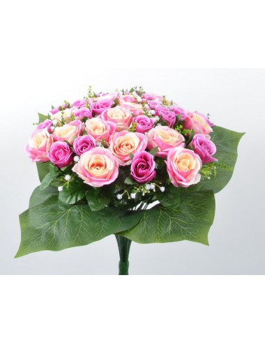 PIQUET ROSE GYPSOPHILLE X36 SALMON FUSCHIA