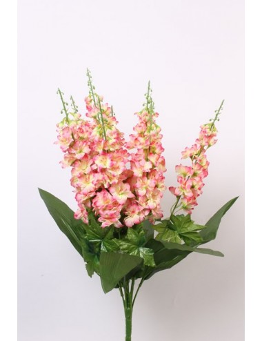 PIQUET DELPHINIUM X9 PINK...