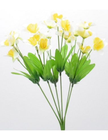 PIQUET DE NARCISSE YELLOW WHITE