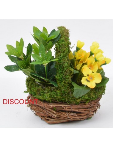 PANIER DISCOUNT PLANTE PENSEE ASS