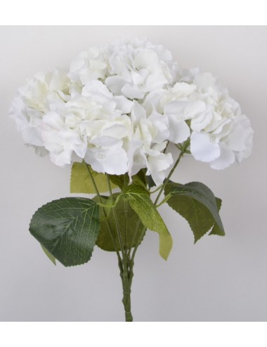 PIQUET HORTENSIA X5 ASS