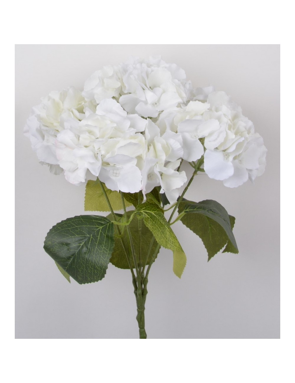 PIQUET HORTENSIA X5 PINK