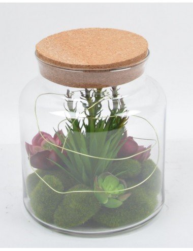 TERRARIUM PLANTES GRASSE ASS