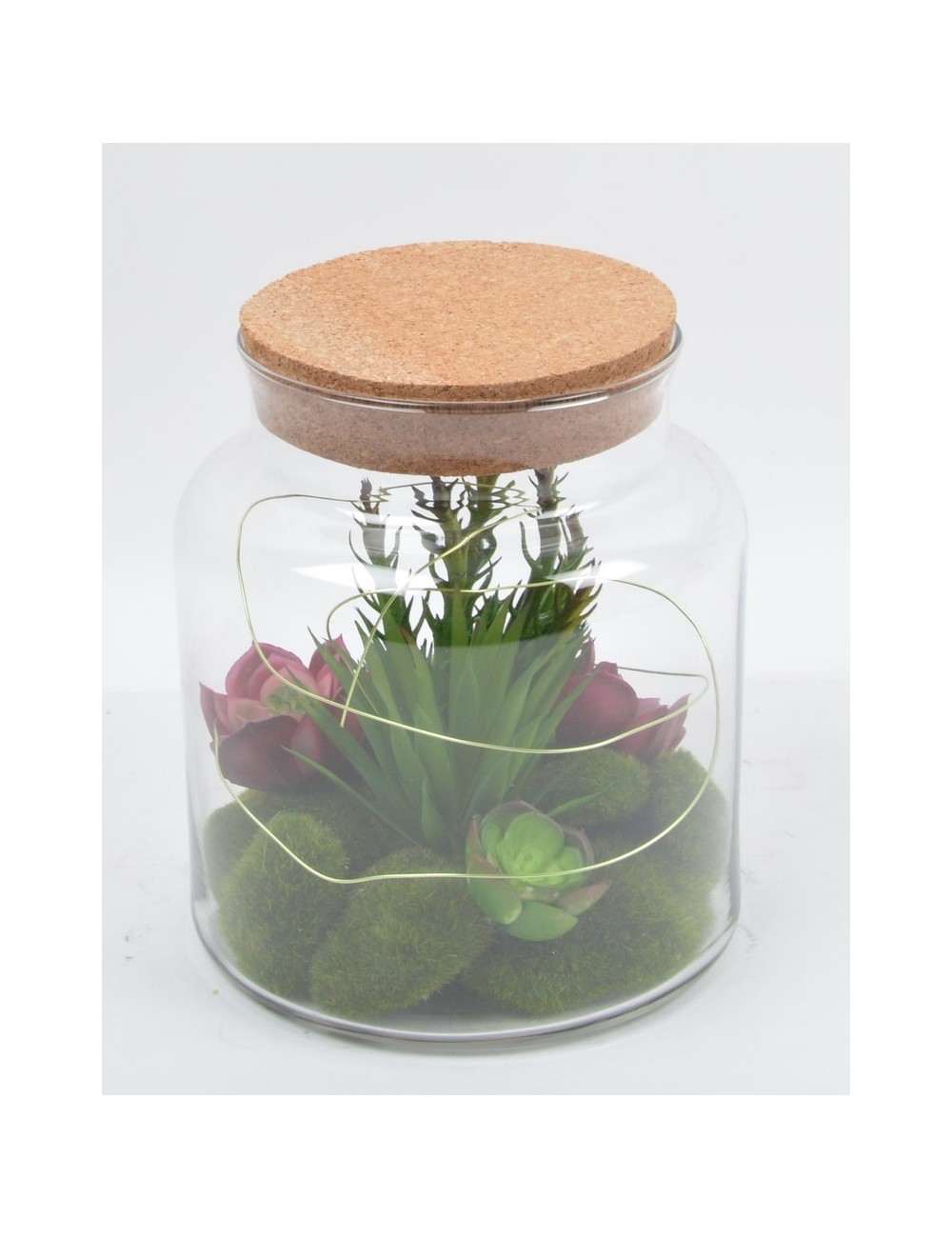 TERRARIUM PLANTES GRASSE ASS