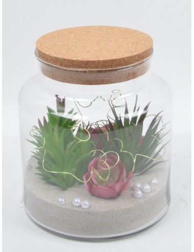 TERRARIUM PLANTES GRASSE PERLES ASS