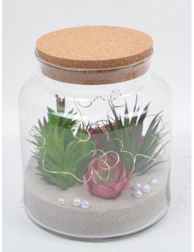 TERRARIUM PLANTES GRASSE ASS