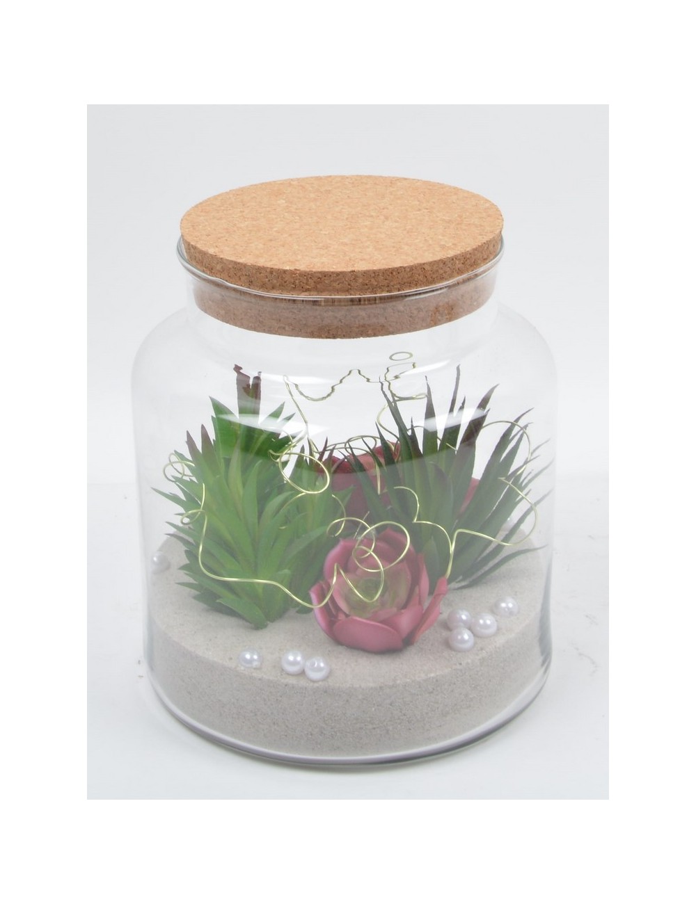 TERRARIUM PLANTES GRASSE ASS