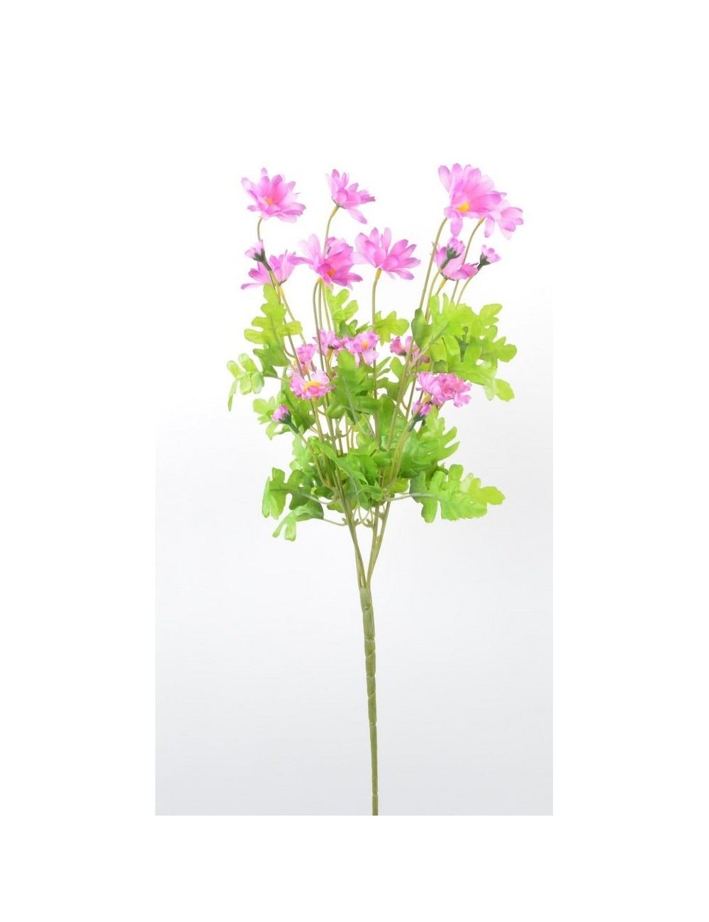 BRANCHE D'ASTER 24 FLEURS WHITE