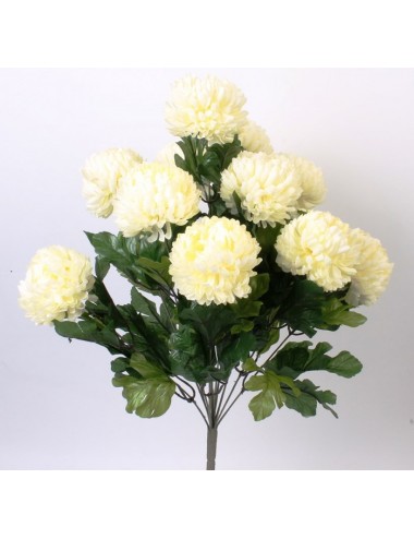 CREAM CHRYSANTHEME BOULE X14