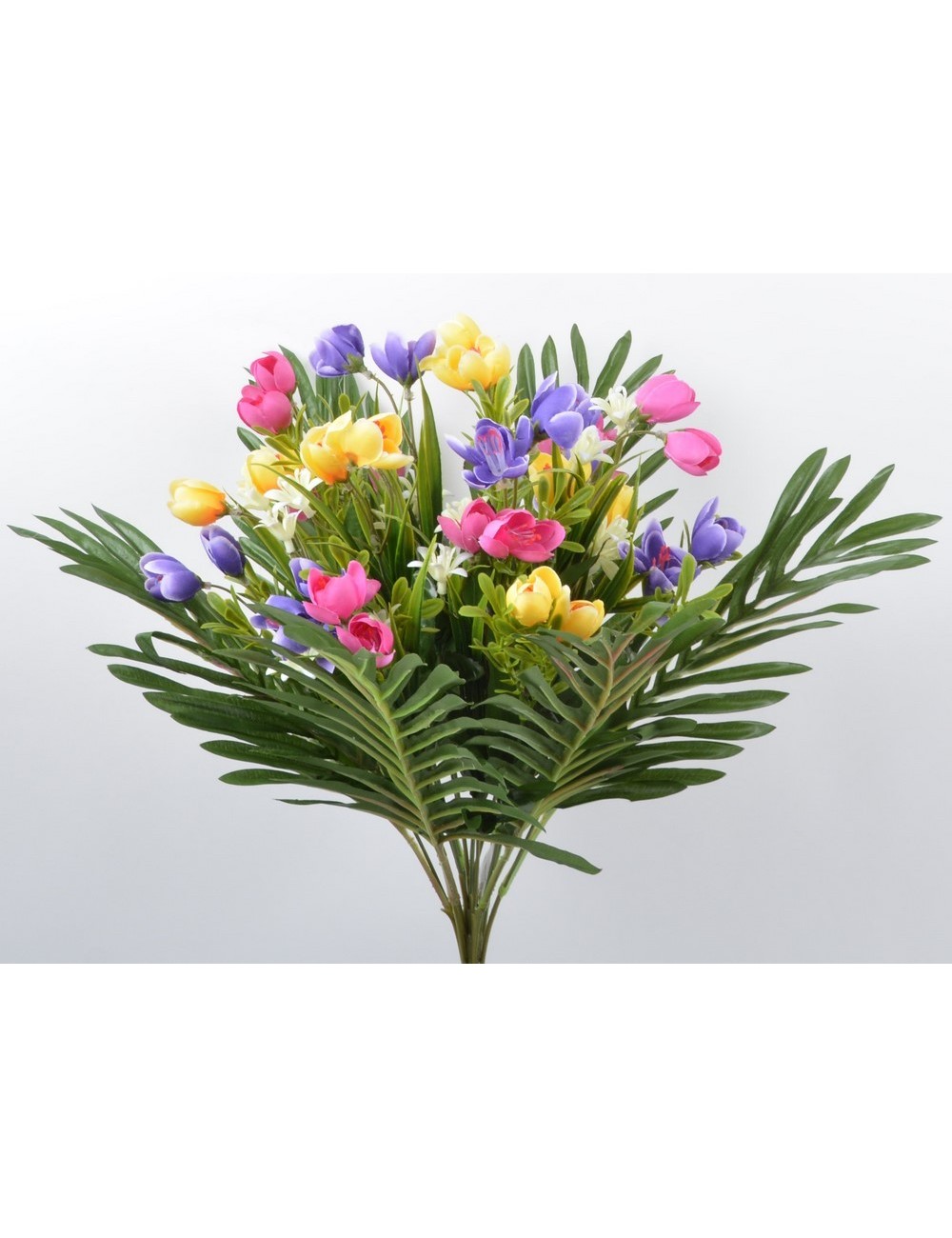 PIQUET GM CROCUS GREEN PIQUET GM CROCUS GREEN