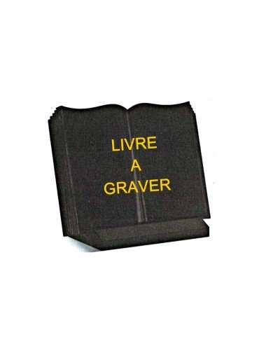 LIVRE A GRAVER GALBE 30 X...