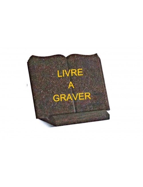 LIVRE A GRAVER 30 X 40...