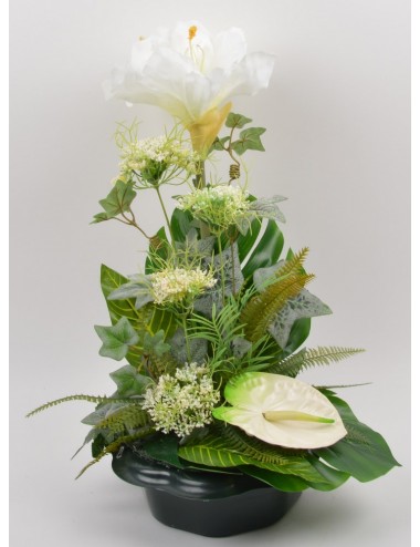 COUPE MARGUERITE AMARYLLIS...