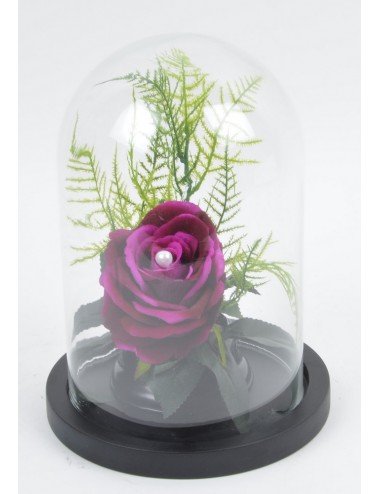 ROSE VELOUR SOUS CLOCHE DE...