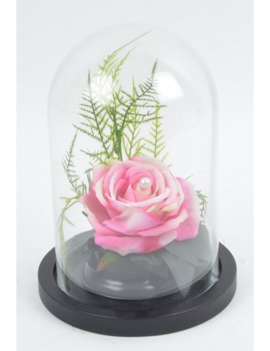 ROSE VELOUR SOUS CLOCHE DE...