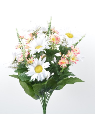 WHITE-PINK MARGUERITE X24