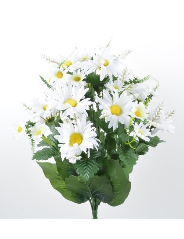 WHITE MARGUERITE X24