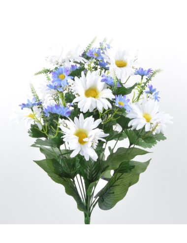 WHITE BLUE MARGUERITE X24