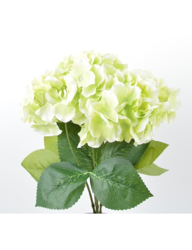 PIQUET HORTENSIA X5 LIGHT...