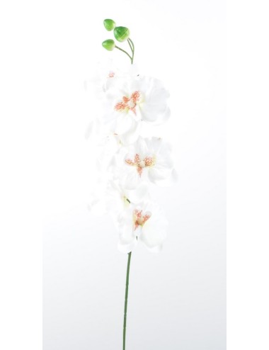 ORCHIDEE PM X 7 CREAM...