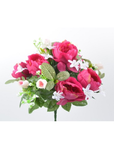 PIQUET PIVOINE GYPSO X13...