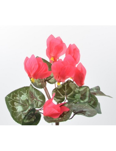 PIQUET DE CYCLAMEN 9 FLEURS...